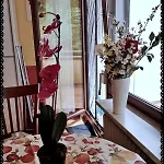 Ferienwohnung Bad Harzburg Апартаменты Бад-Гарцбург