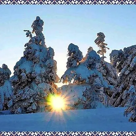 Ferienwohnung Bad Harzburg アパート *