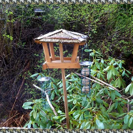 Ferienwohnung Bad Harzburg アパート バート・ハルツブルク