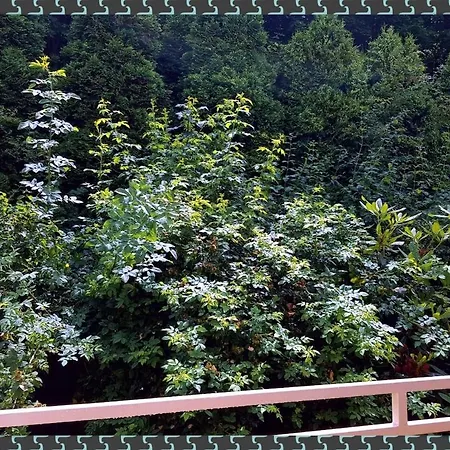 アパート Ferienwohnung Bad Harzburg