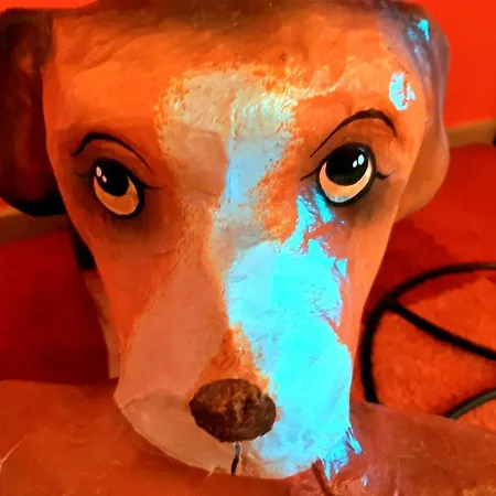 アパート Ferienwohnung Bad Harzburg *