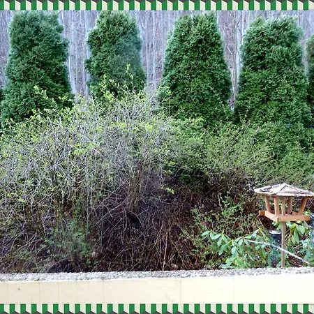 Ferienwohnung Bad Harzburg *