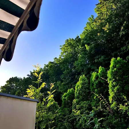 Appartement Ferienwohnung Bad Harzburg *
