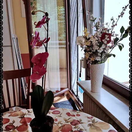 Ferienwohnung Bad Harzburg Appartement Bad Harzburg