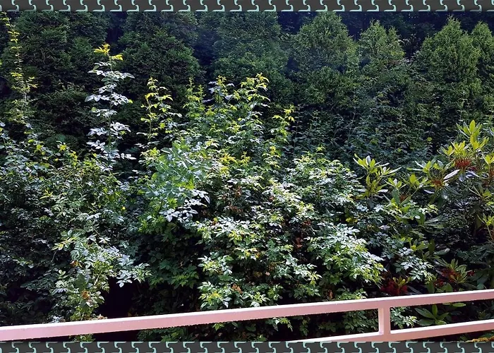 アパート Ferienwohnung Bad Harzburg