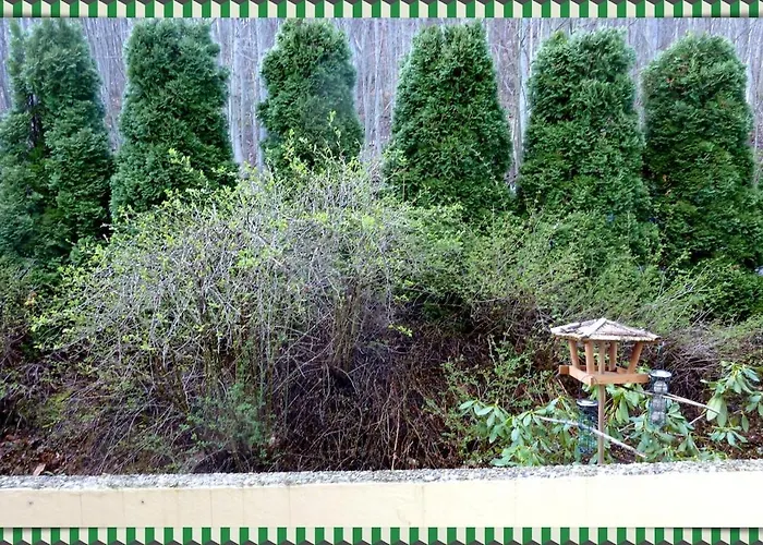 Ferienwohnung Bad Harzburg *